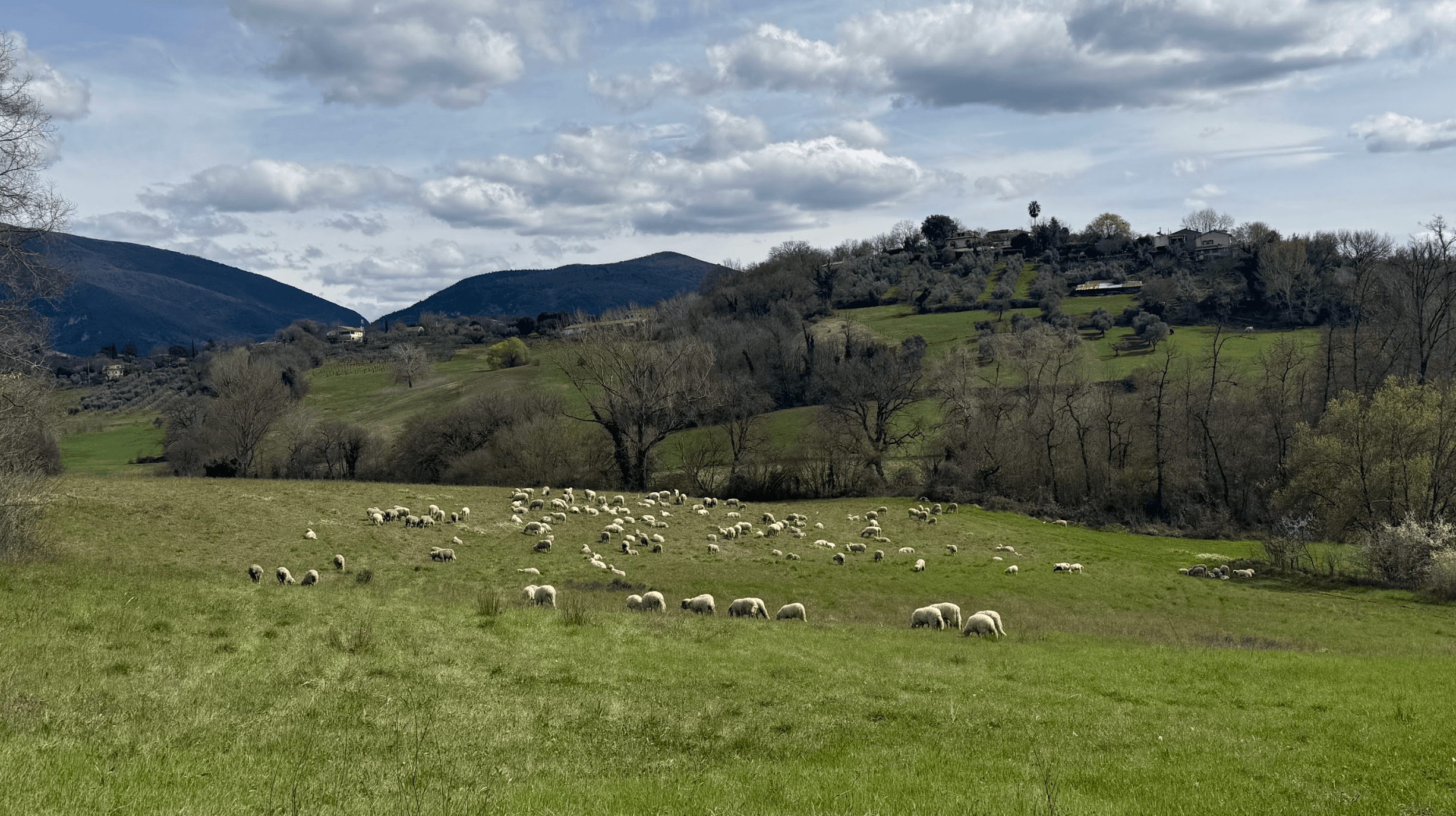 E-Bike and Stringozzi Cooking Class in Sabina: Casperia to Roccantica Day Trip photo 1
