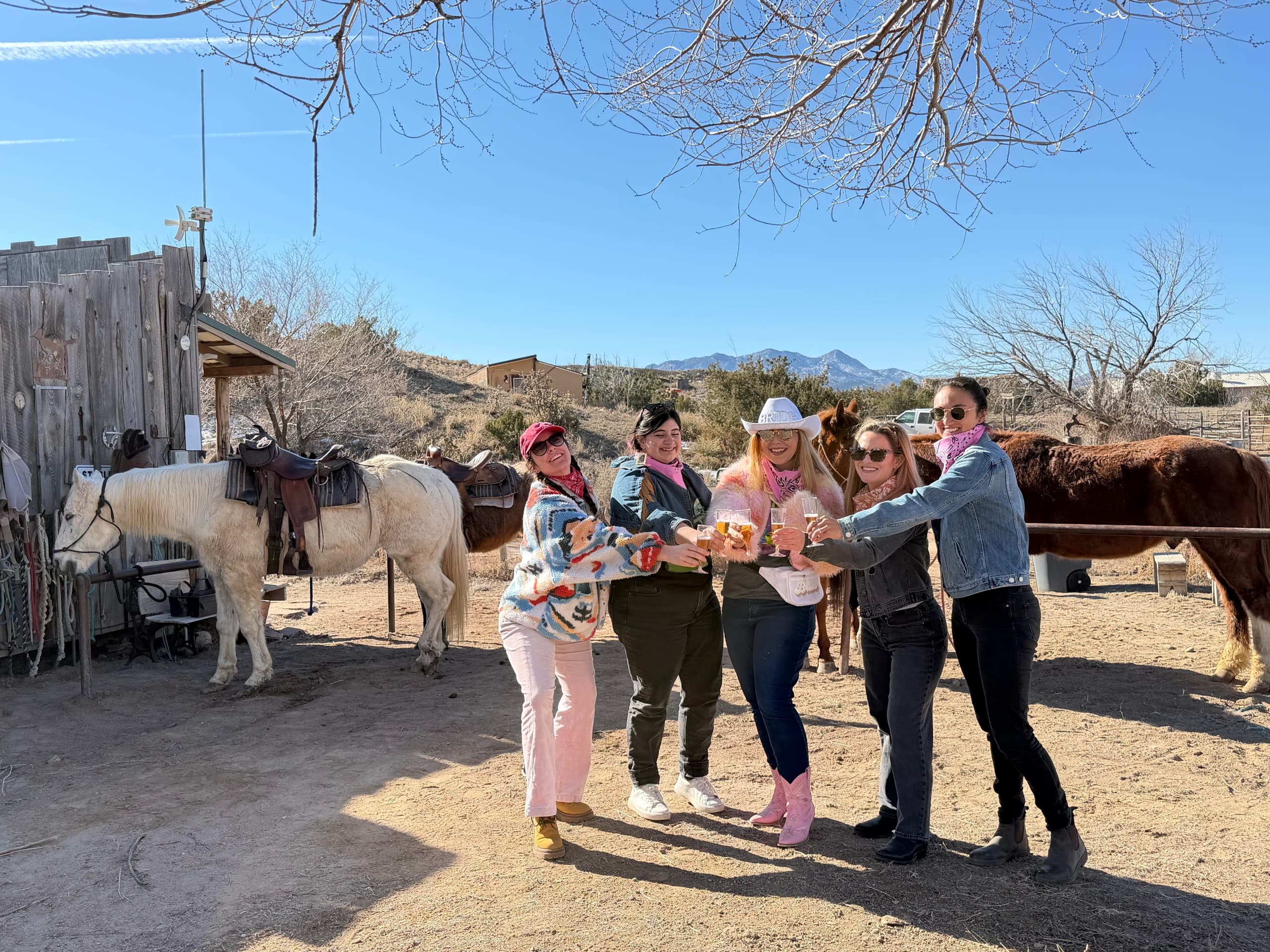 Romantic Carriage Ride in Los Cerrillos — Turquoise Hills 20-Minute Experience photo 1