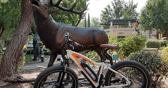 Sedona E Bike Tours & Rentals fleet