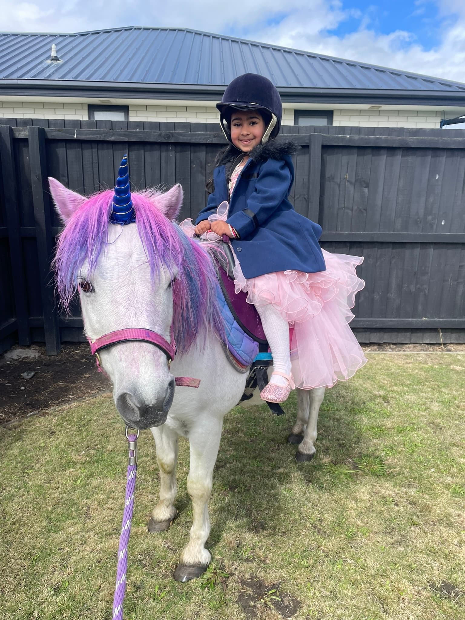 Unicorn Pony Party Fun with Pony Parties & Their Farmyard Friends