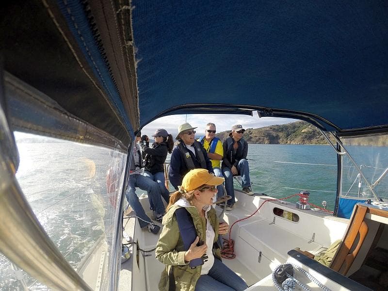 Explore Berkeley’s Semi-Private Cruises on San Francisco Bay