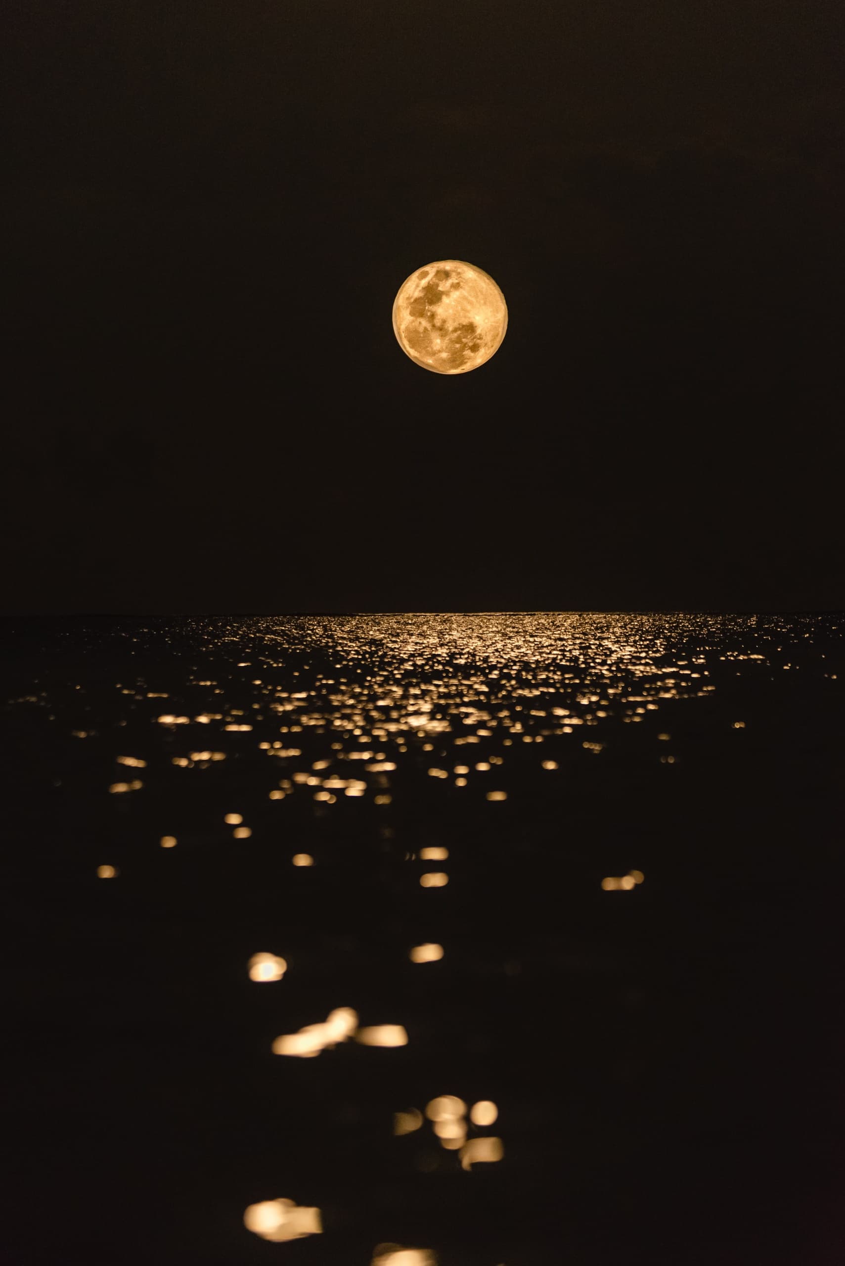 Water Activities: Full Moon SUP with Eco Atlantic Adventures