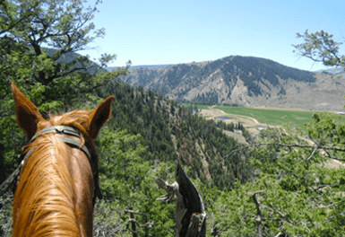 View from horseback overlooking valley and forested ridgeline