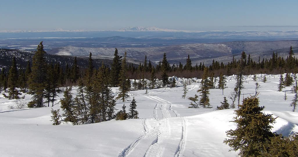 Snowmobiles tracks winding across snowy alpine ridge and trees