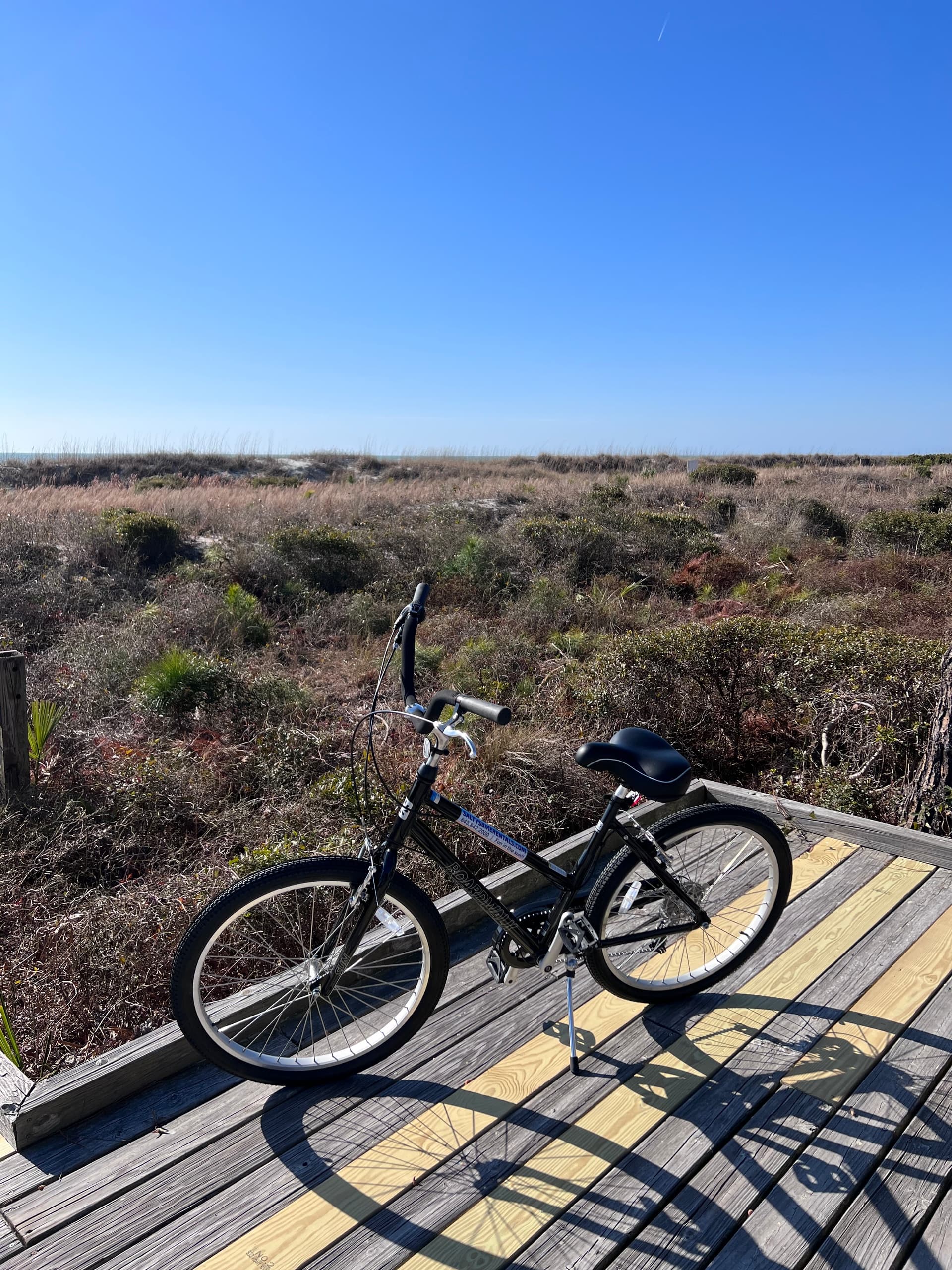 Explore Hilton Head Island on Womens 7 Speed Bikes: Scenic Trail Adventures Await