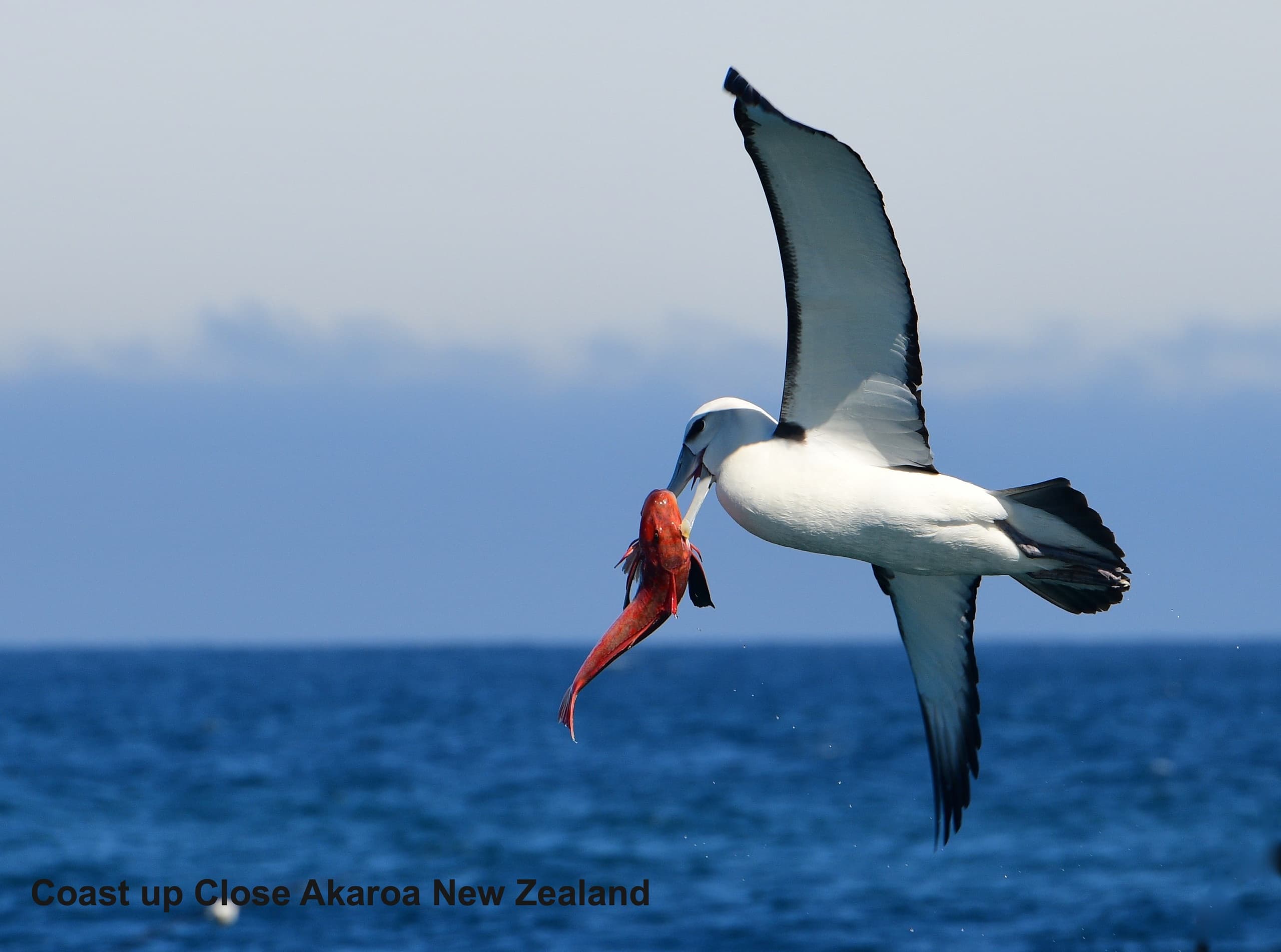 Water Activities & Coast Up Close: Fishing Adventures