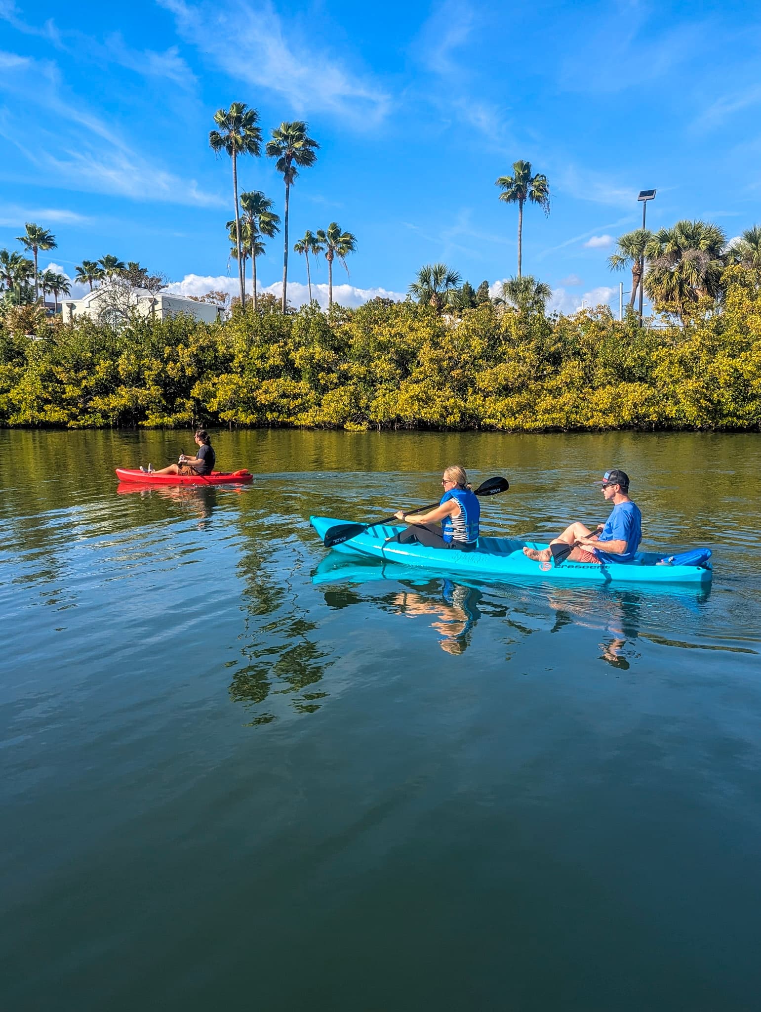 Paddling Pelican Harbor: Kayak Rentals in Miami’s Calm Channels