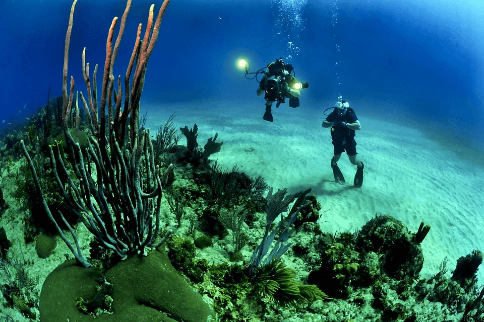 Cozumel Diving Crossing with Deep Life