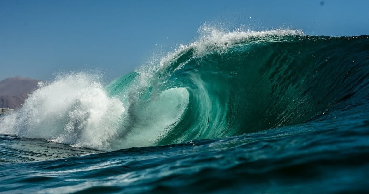Master Surf Survival in San Diego's Iconic Waves