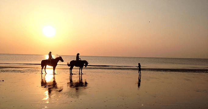 Two horseback riders silhouetted at sunset walking along reflective shoreline