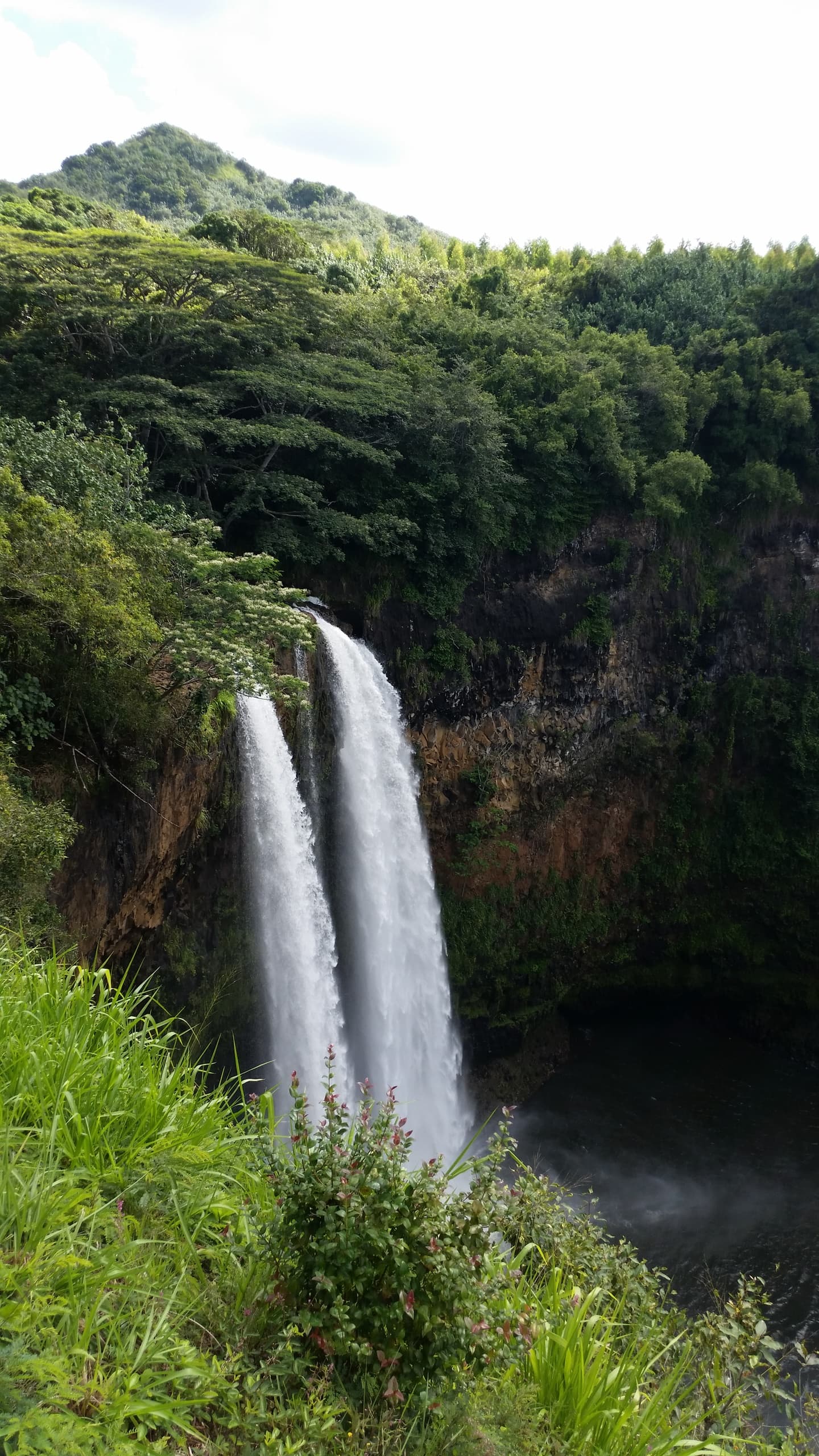 North Shore Waterfalls & Sights with Kauai Island Shuttle & Tours