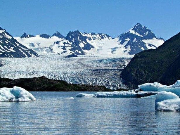 Homer Ocean Charters fleet