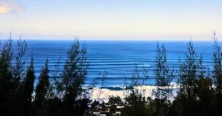 Ocean waves breaking beyond shoreline trees, scenic surf view