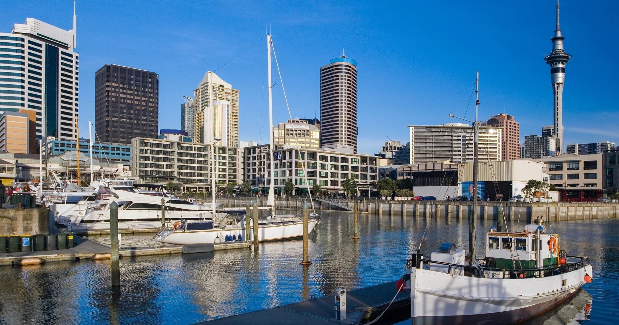 Land Adventures in Auckland: Private City Tour Experience