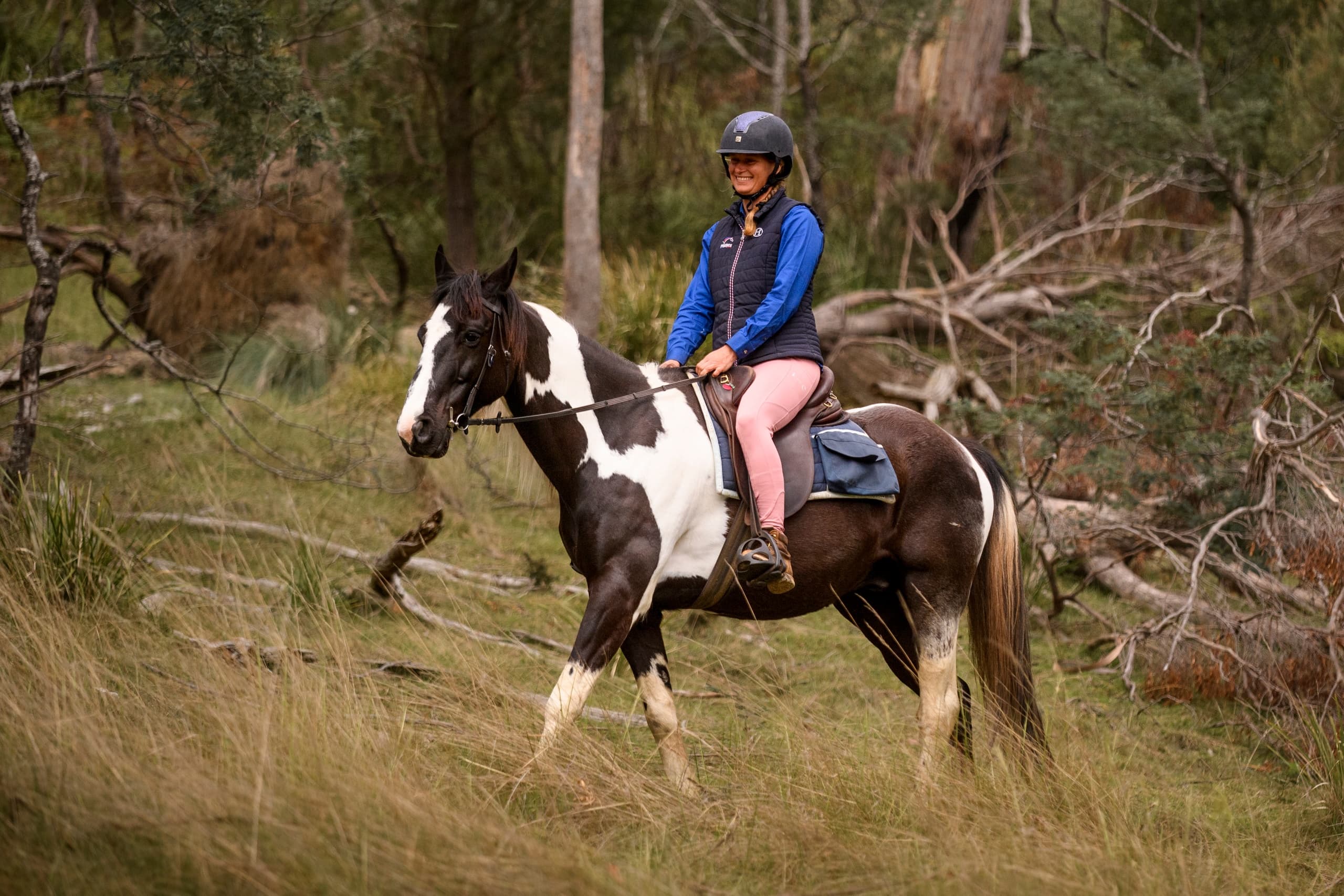 Cradle Country Adventures fleet