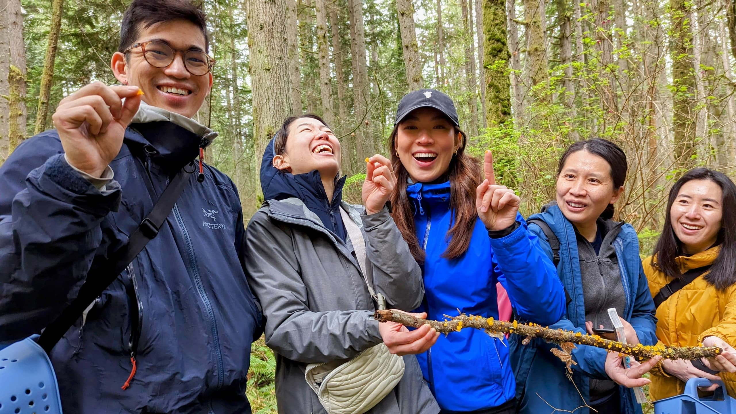 Seattle Mushroom Foraging 101: Hands-On Wild Mushroom Walk Near Redmond