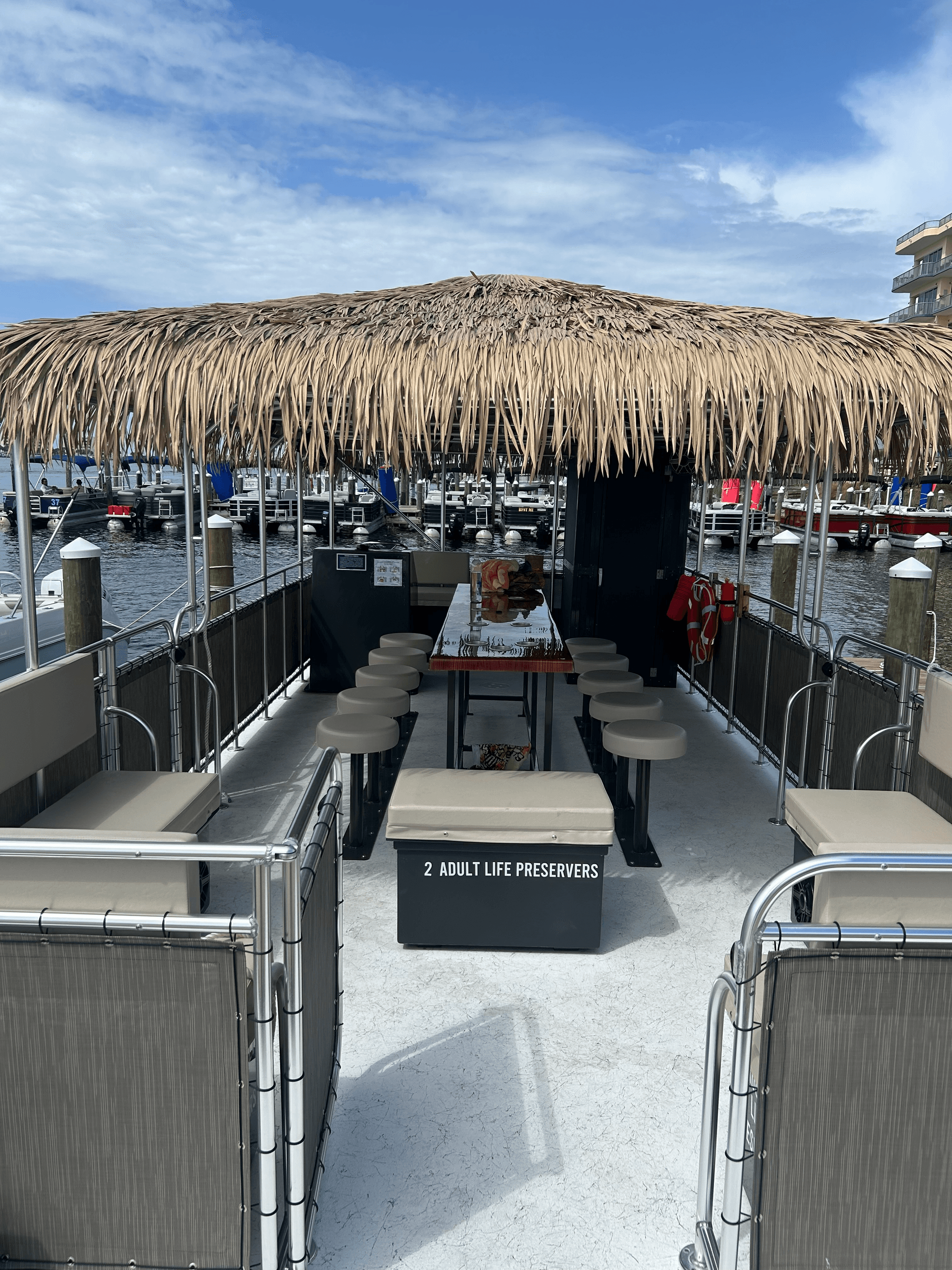 Sun-Filled Party Boat Ride with Santa Rosa Beach Pontoon Rental in Destin