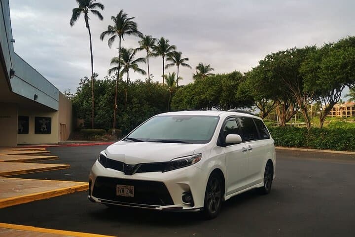 Rental minivan parked by palm trees at tropical resort