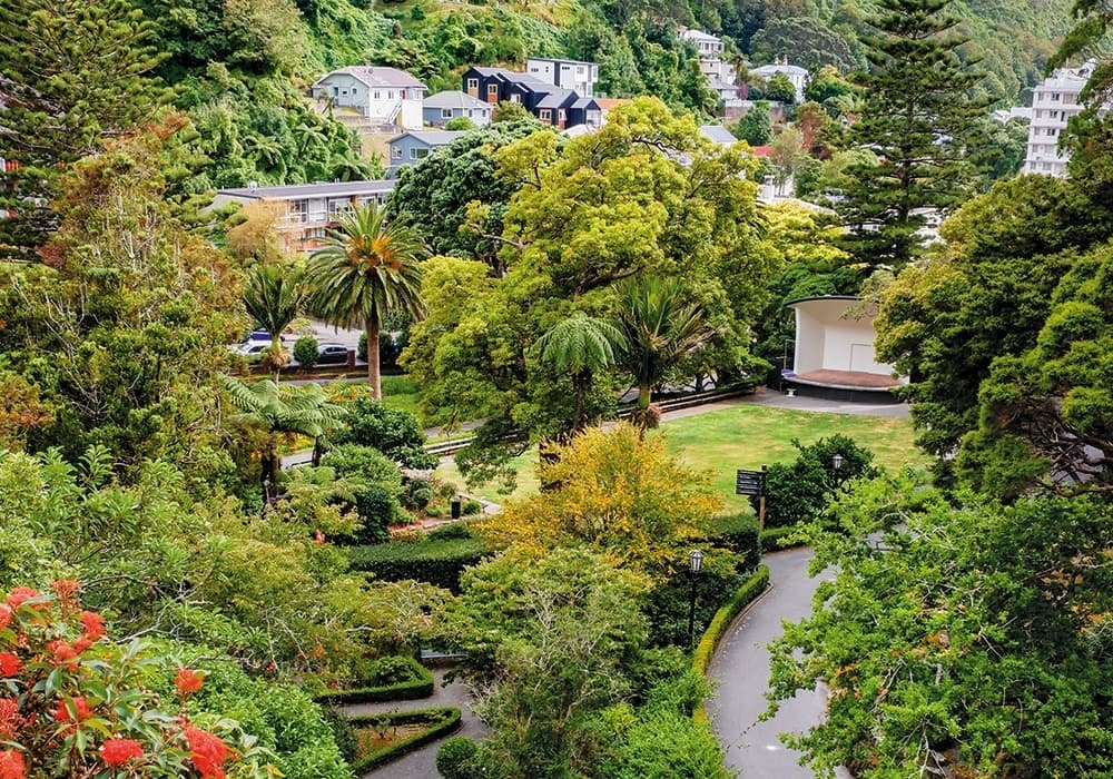 Three-Hour Wellington Eco Walk: Cable Car Views, Botanic Garden & Cuba Street photo 3