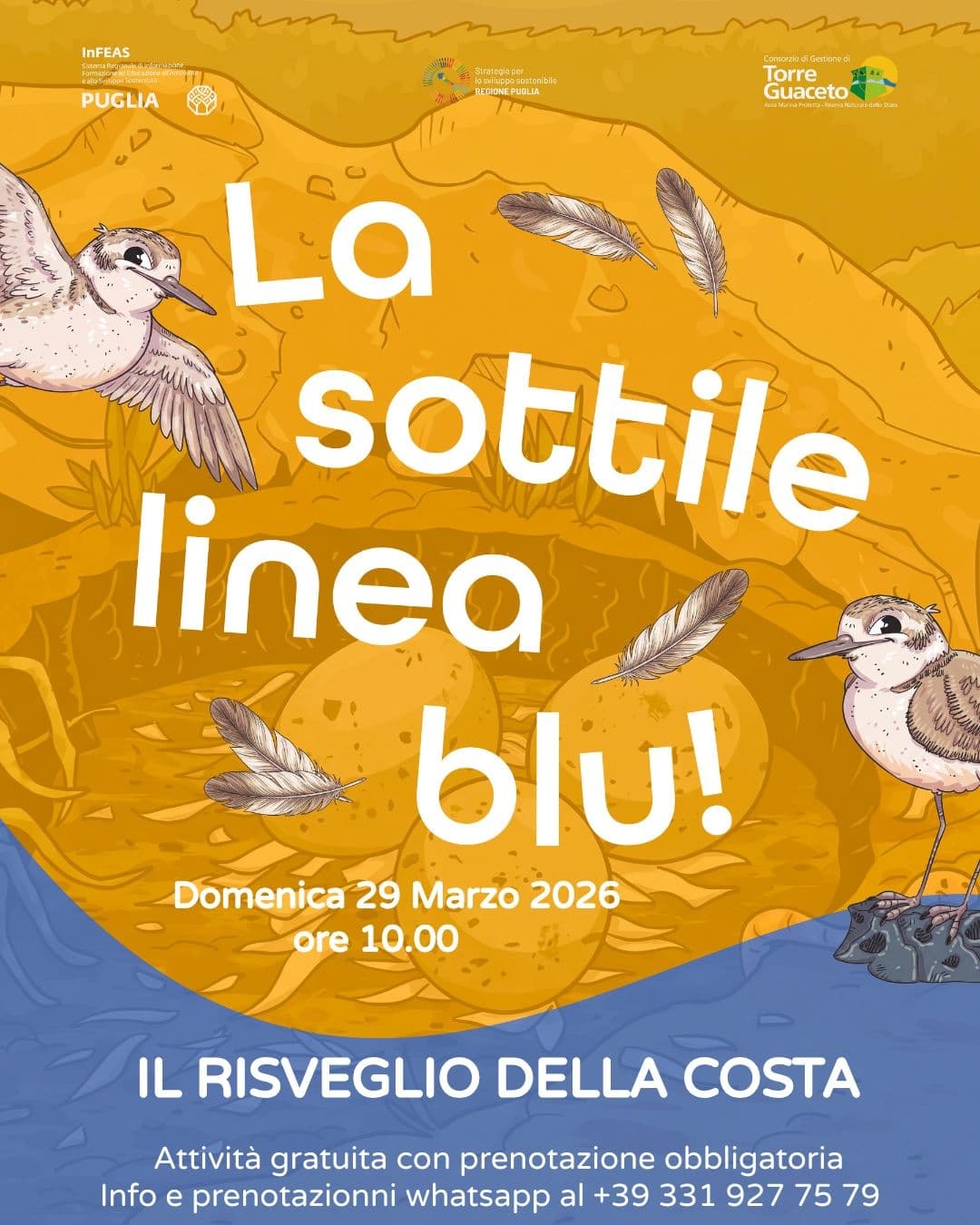 LA SOTTILE LINEA BLU: Torre Guaceto Seabird Walk & Coastal Monitoring, Puglia