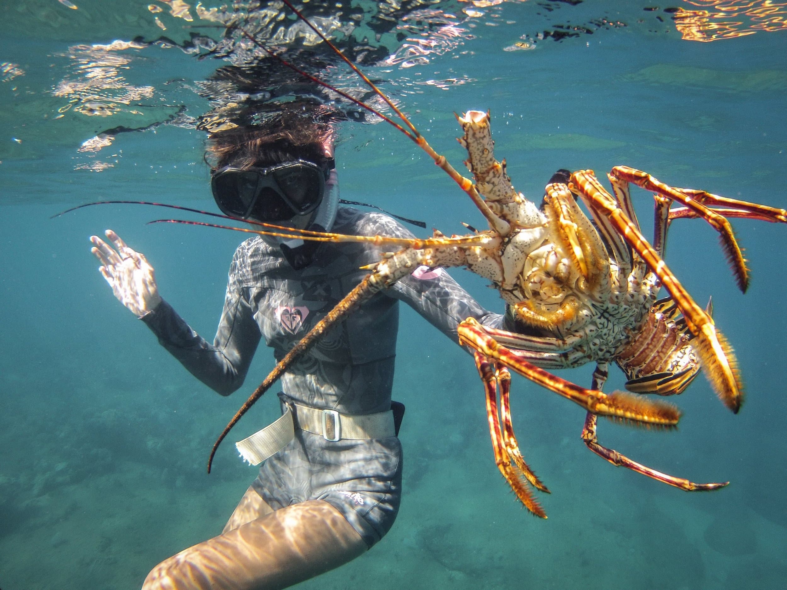 Reef Spearfishing for Lobster & Lionfish in Rincón, PR