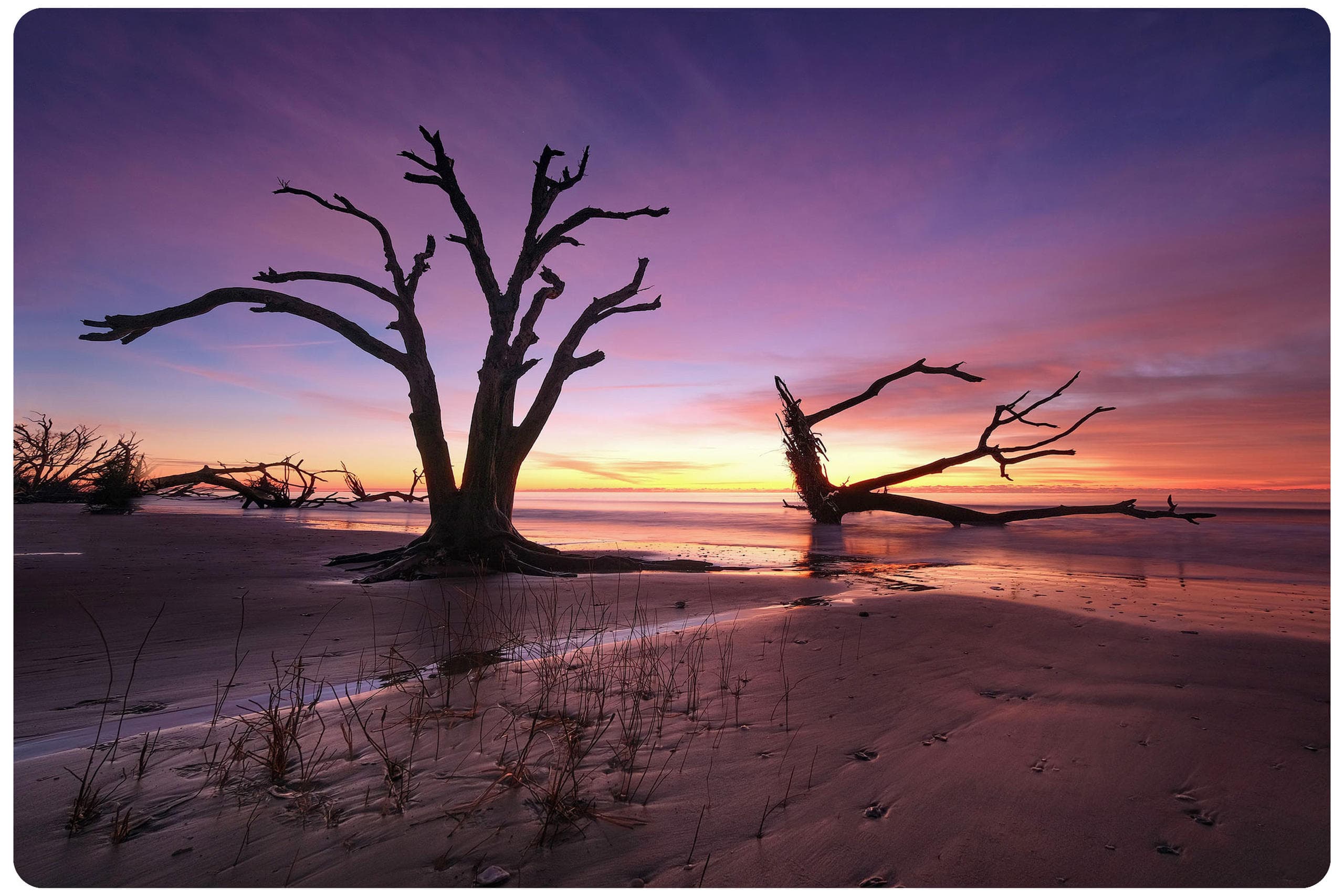 Charleston Photography Tours team