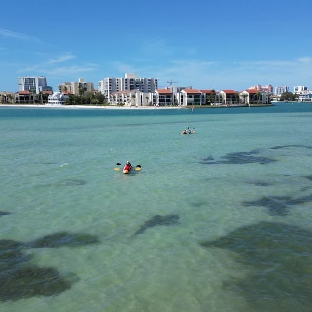 Discover Guided Clear Kayaking in Clearwater, Florida