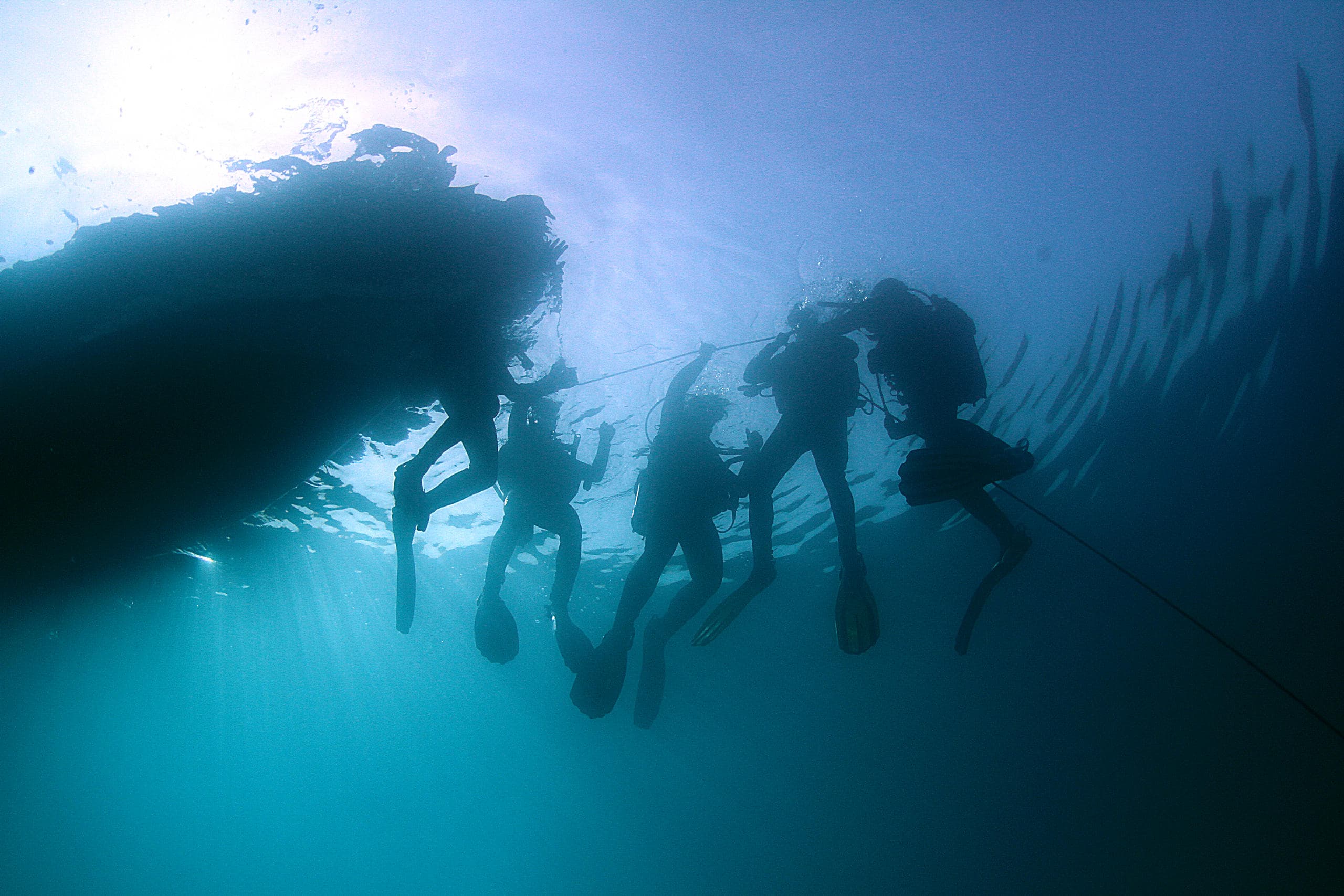 Group of divers silhouetted beneath boat in open ocean