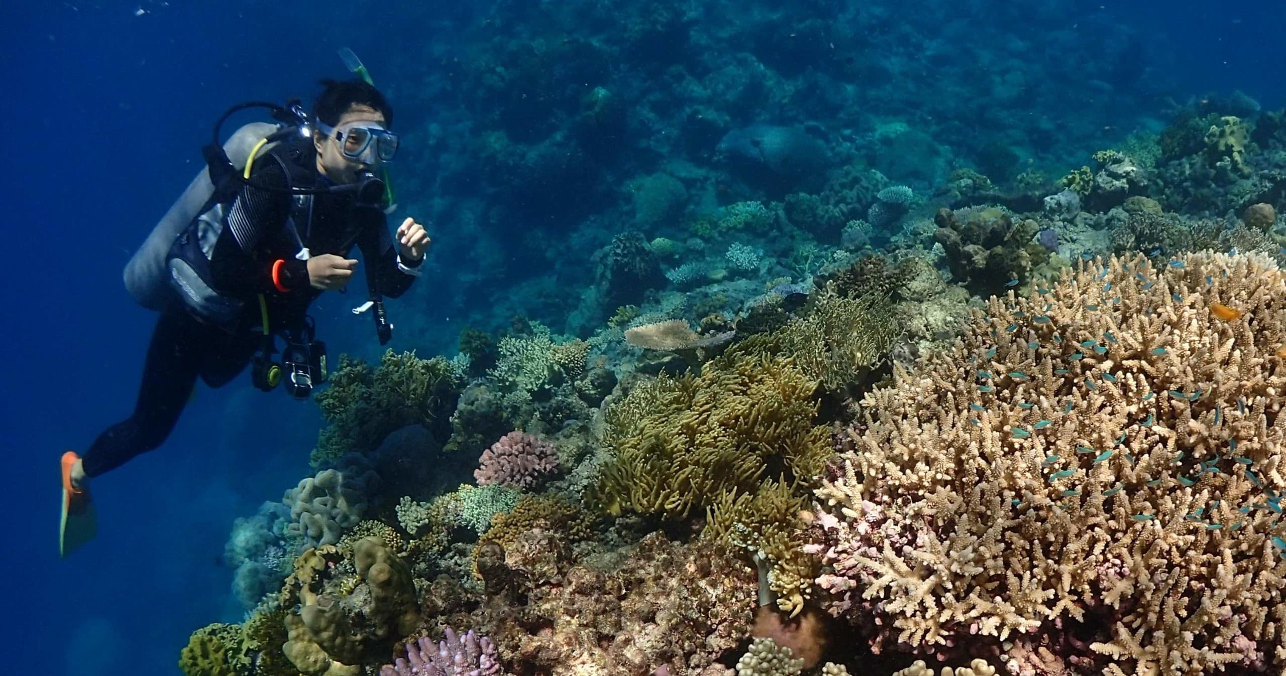 Water Activities with Rum Runner Cairns at the Great Barrier Reef
