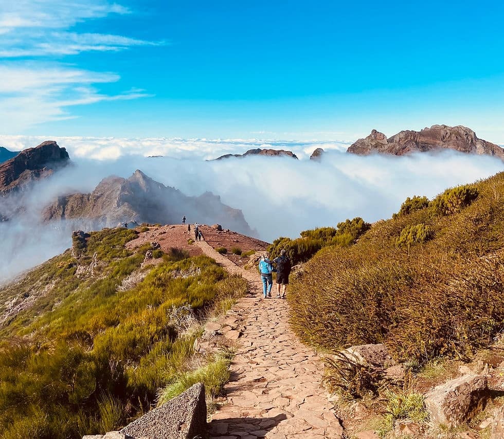Hiking Transfers to Madeira Peaks with Levadas In & Out