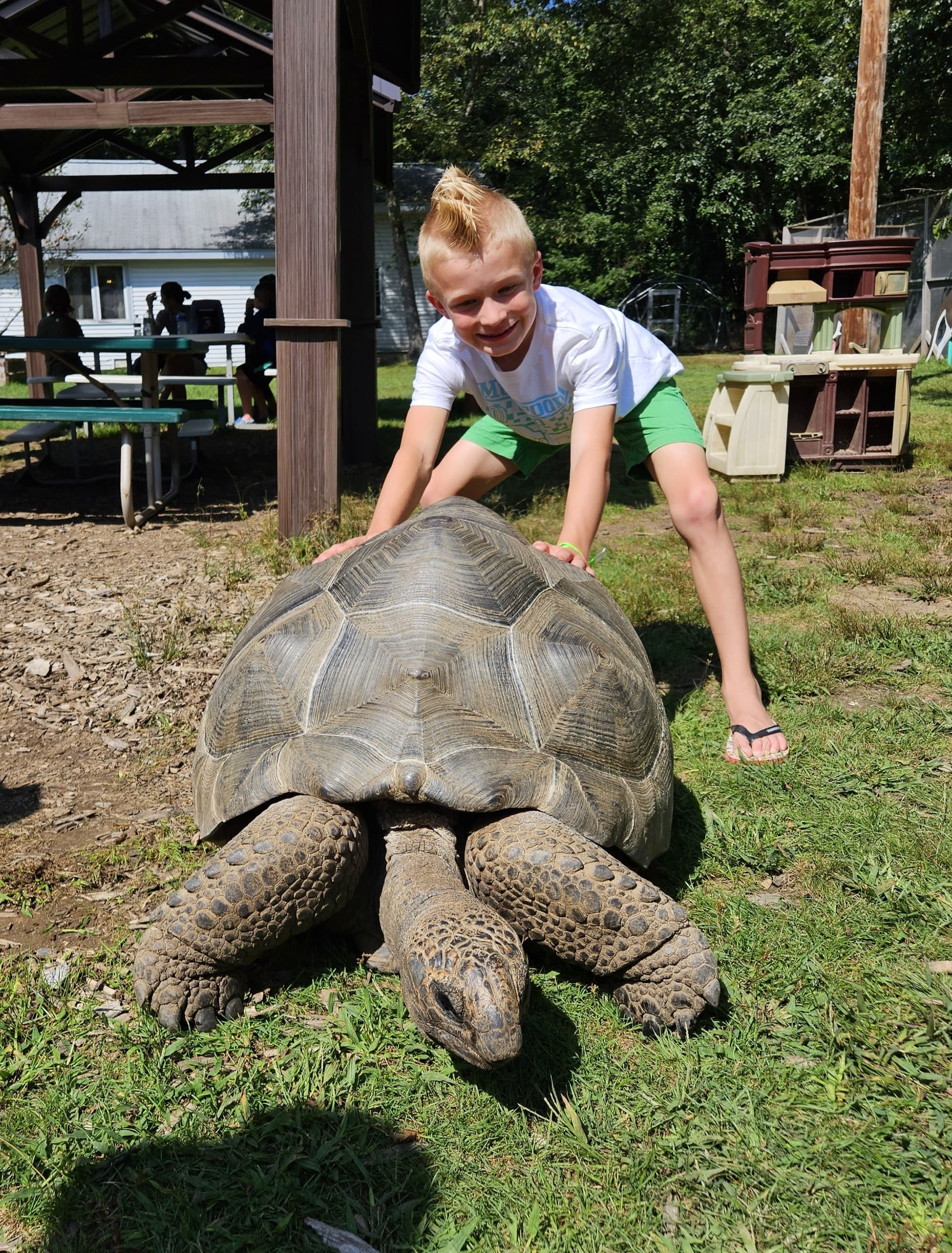 Get Up Close: 90-Minute Private Animal Encounter in Hubbardston, MA