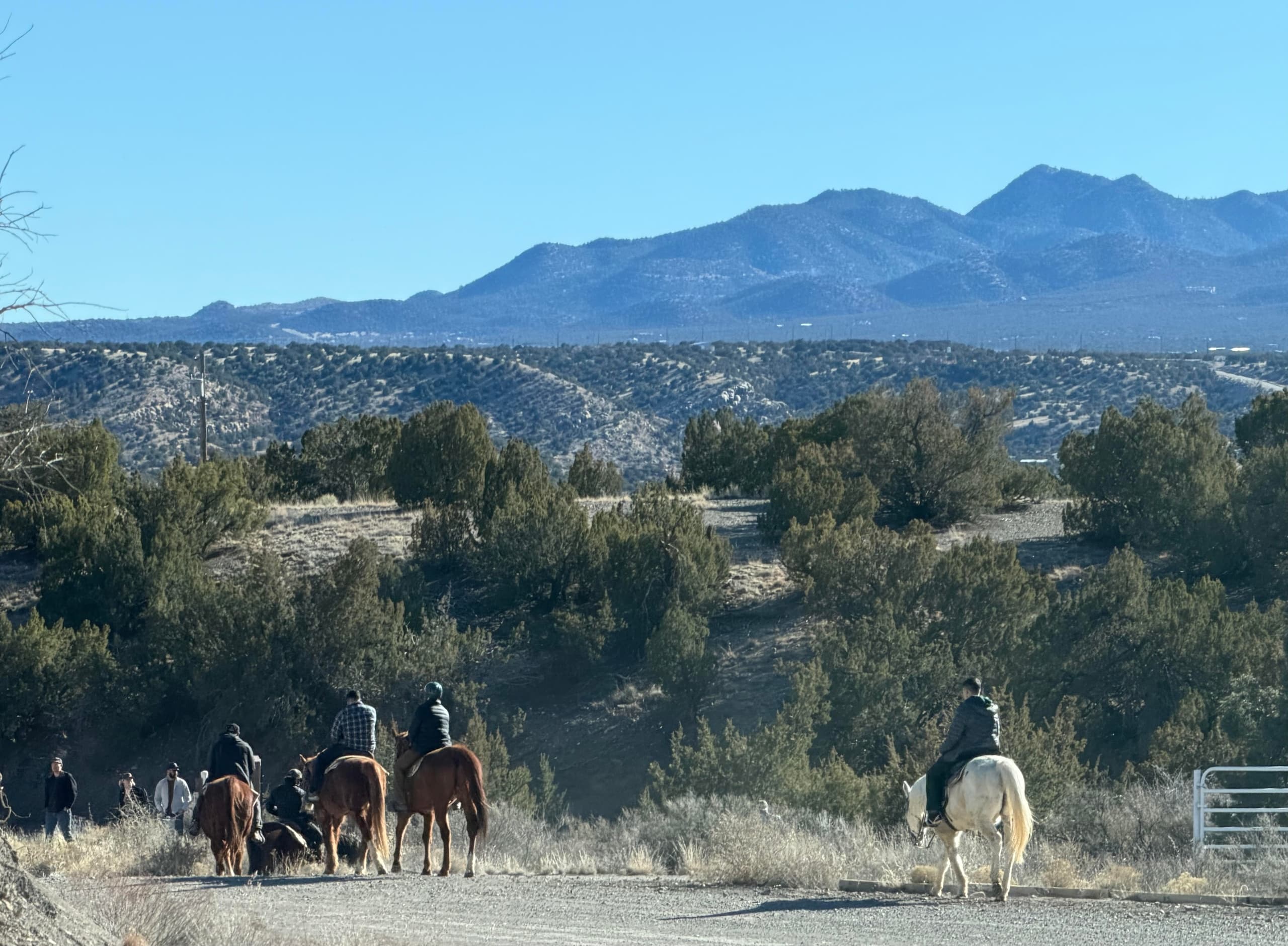 Turquoise Hills Riding Company fleet