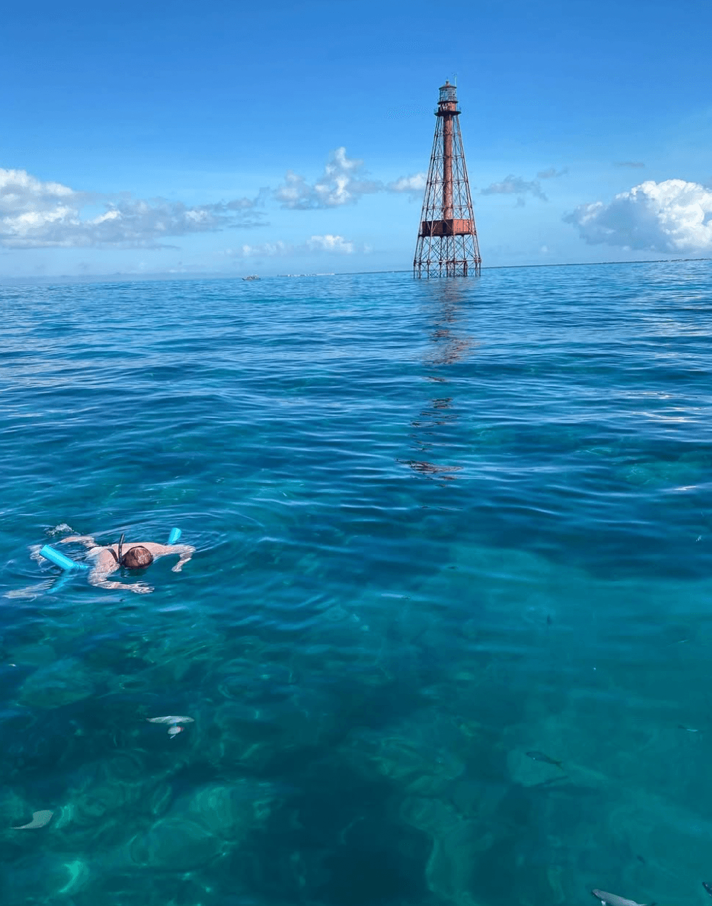 Alligator Reef Snorkel and Islamorada Sandbar: Half-Day Combo in the Florida Keys photo 2