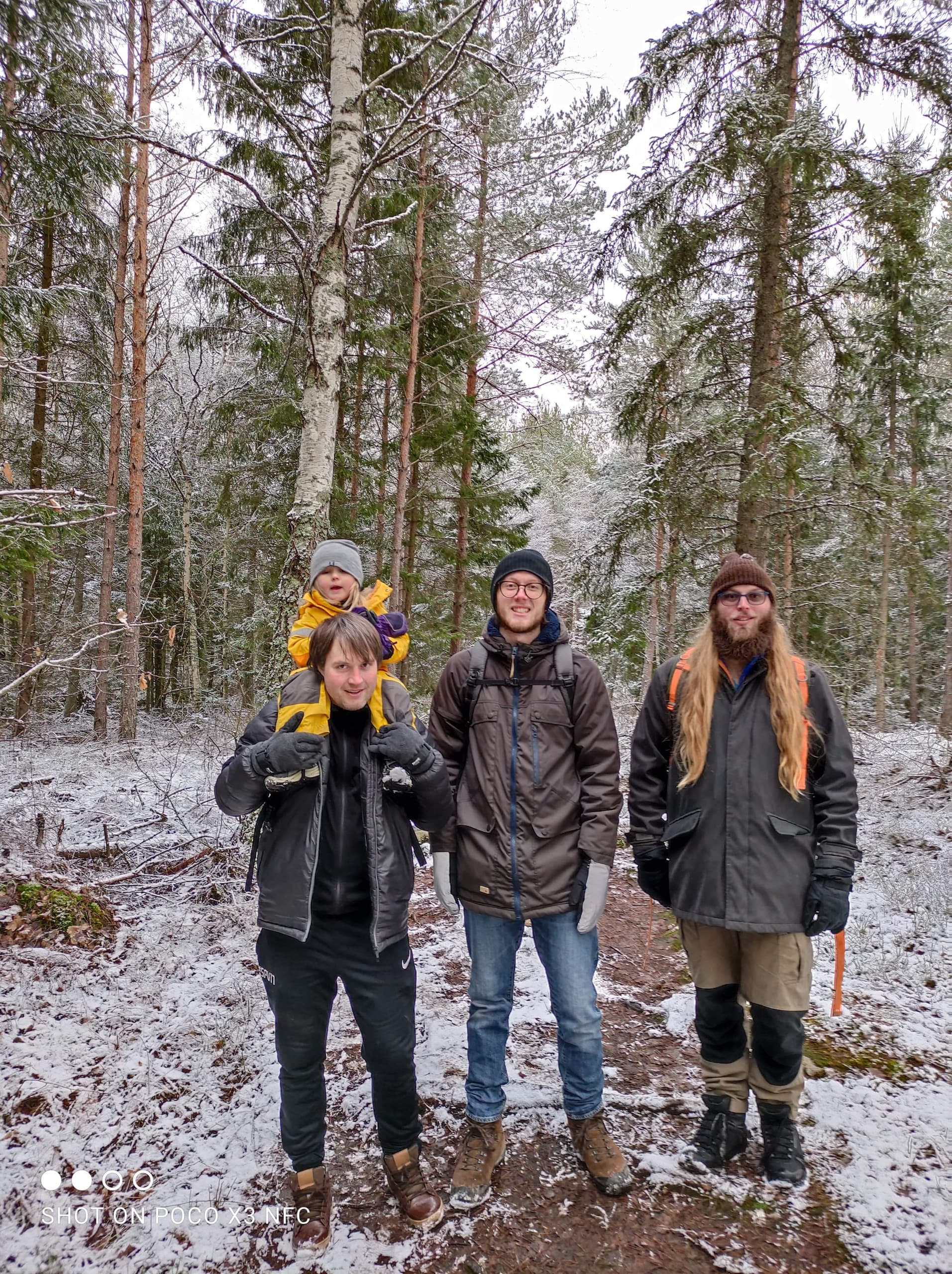 Historic Viking Walk with Sweden History Tours in Vallentuna