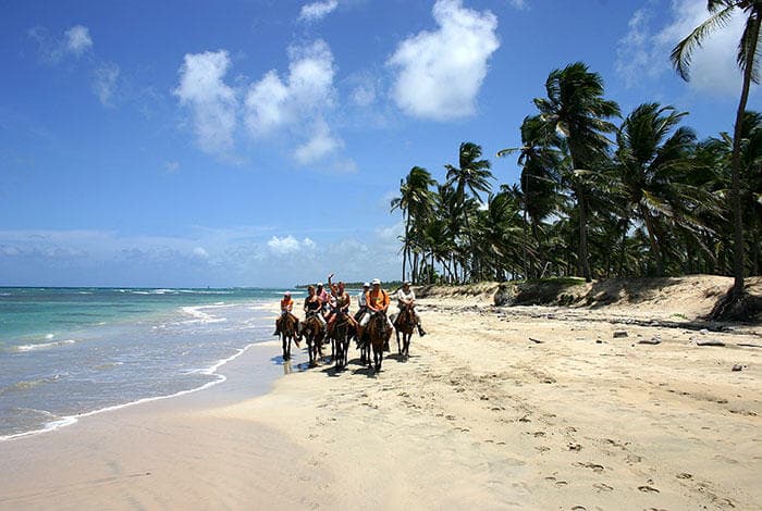 Land Adventures in Puerto Vallarta with Vallarta Best Tours