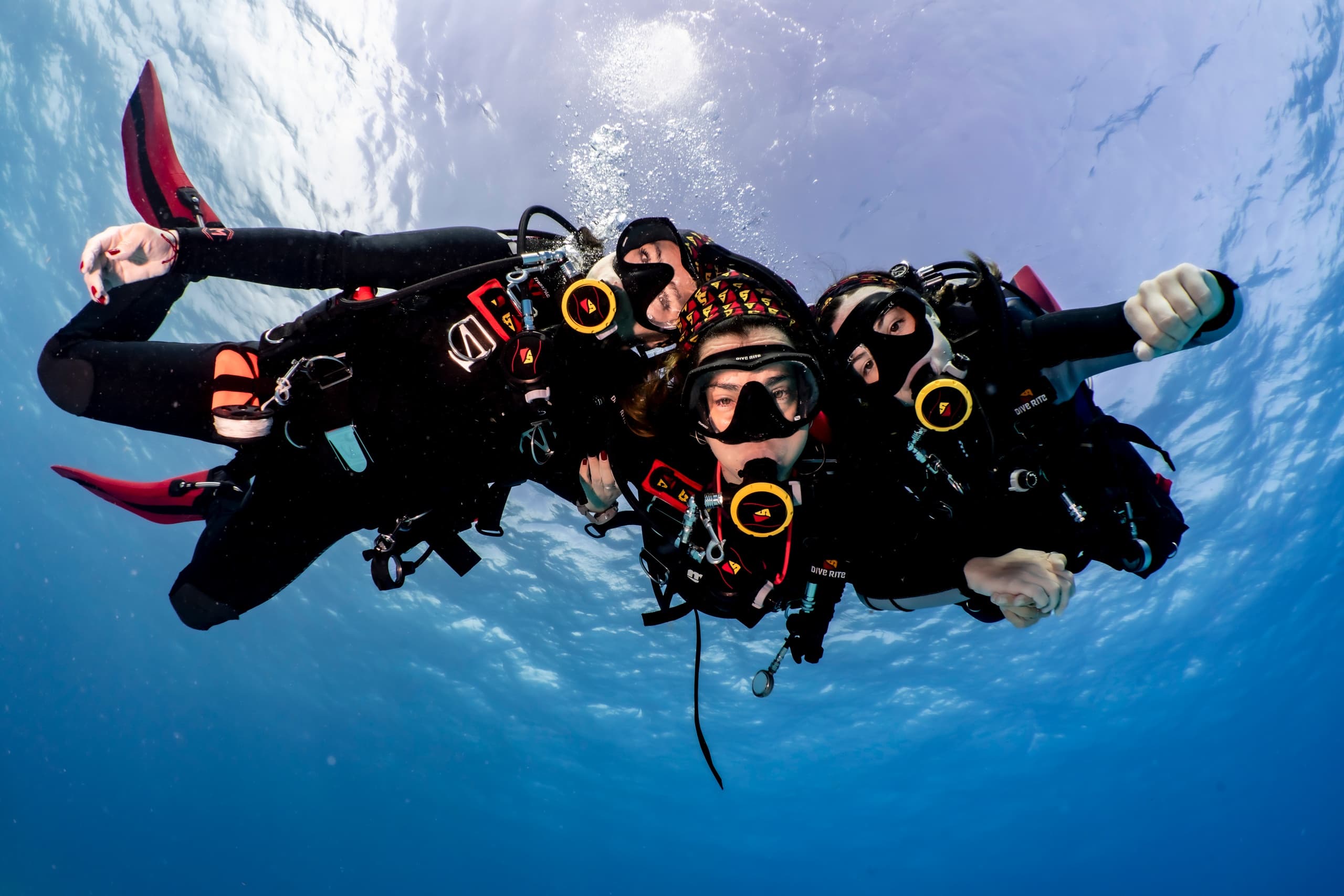 Reignite Your Diving Skills with a Private Refresher Course in Cape Coral, Florida