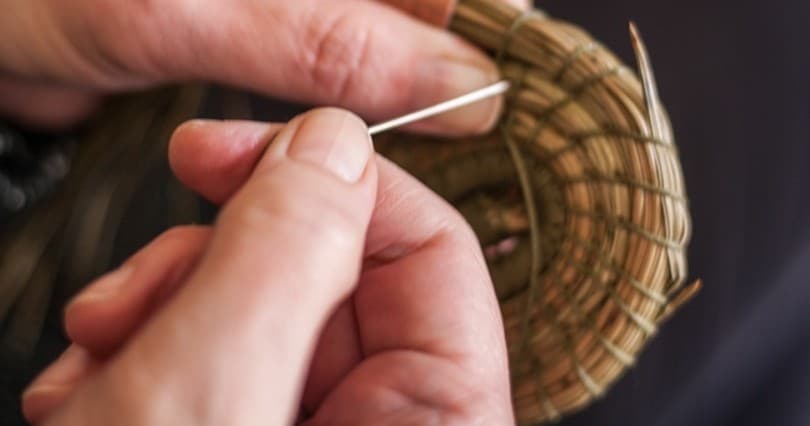 Coiling Basket Workshop in Loosdrecht — Pine-Needle & Raffia Basketry