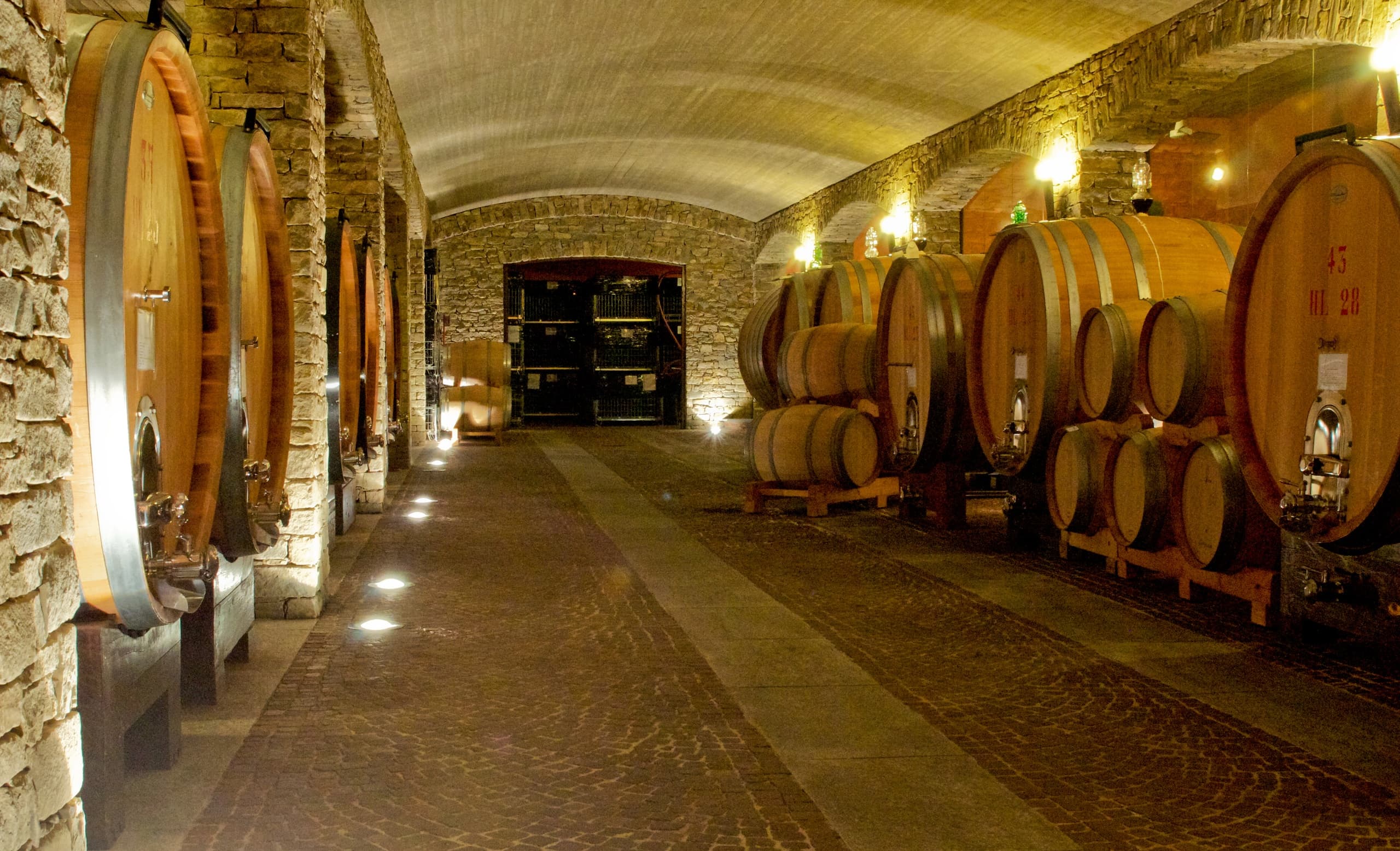 Blind Tasting at Tenuta Cucco and La Raia: Master Piedmont Flavors in Serralunga d'Alba photo 1