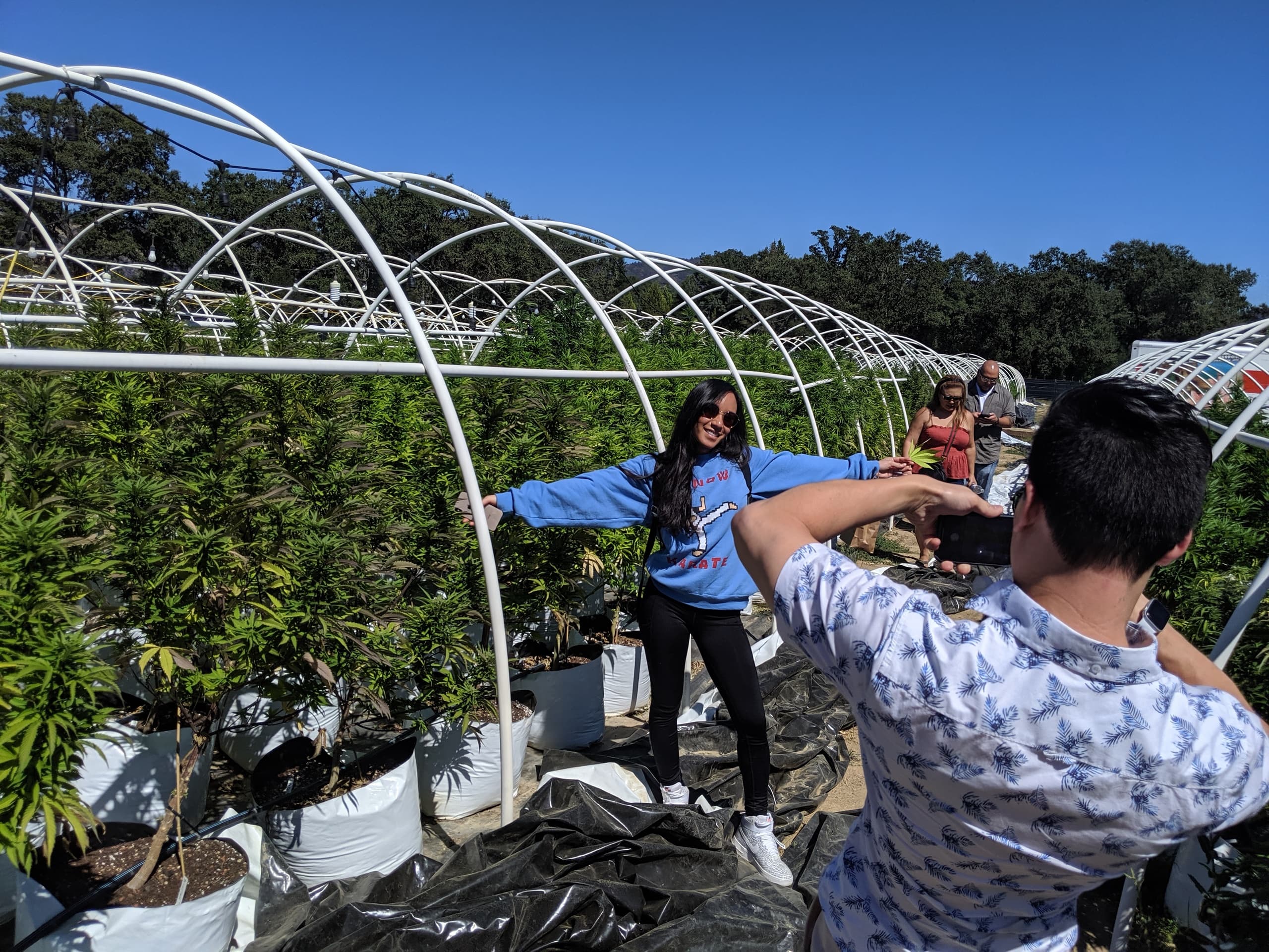 Original Mendocino Cannabis Farm Tour in Hopland, CA