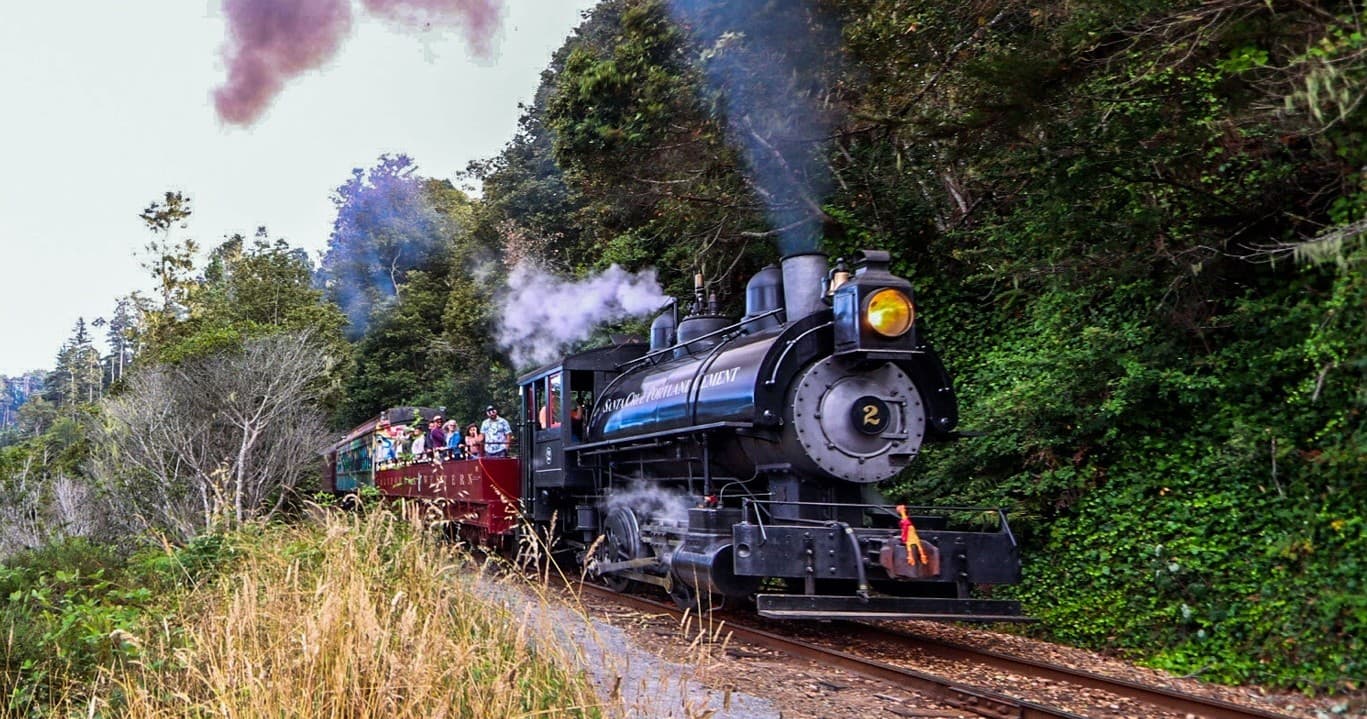 Vintage steam train chugging along scenic forest ridge with smoke trail
