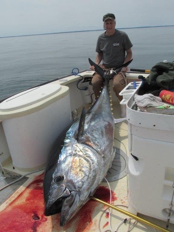 Giant Bluefin Tuna Fishing with Plymouth Charters, MA
