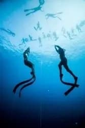 Cebu Freediving Leadership Workshop: NAUI Instructor Training at Paradive Resort photo 3