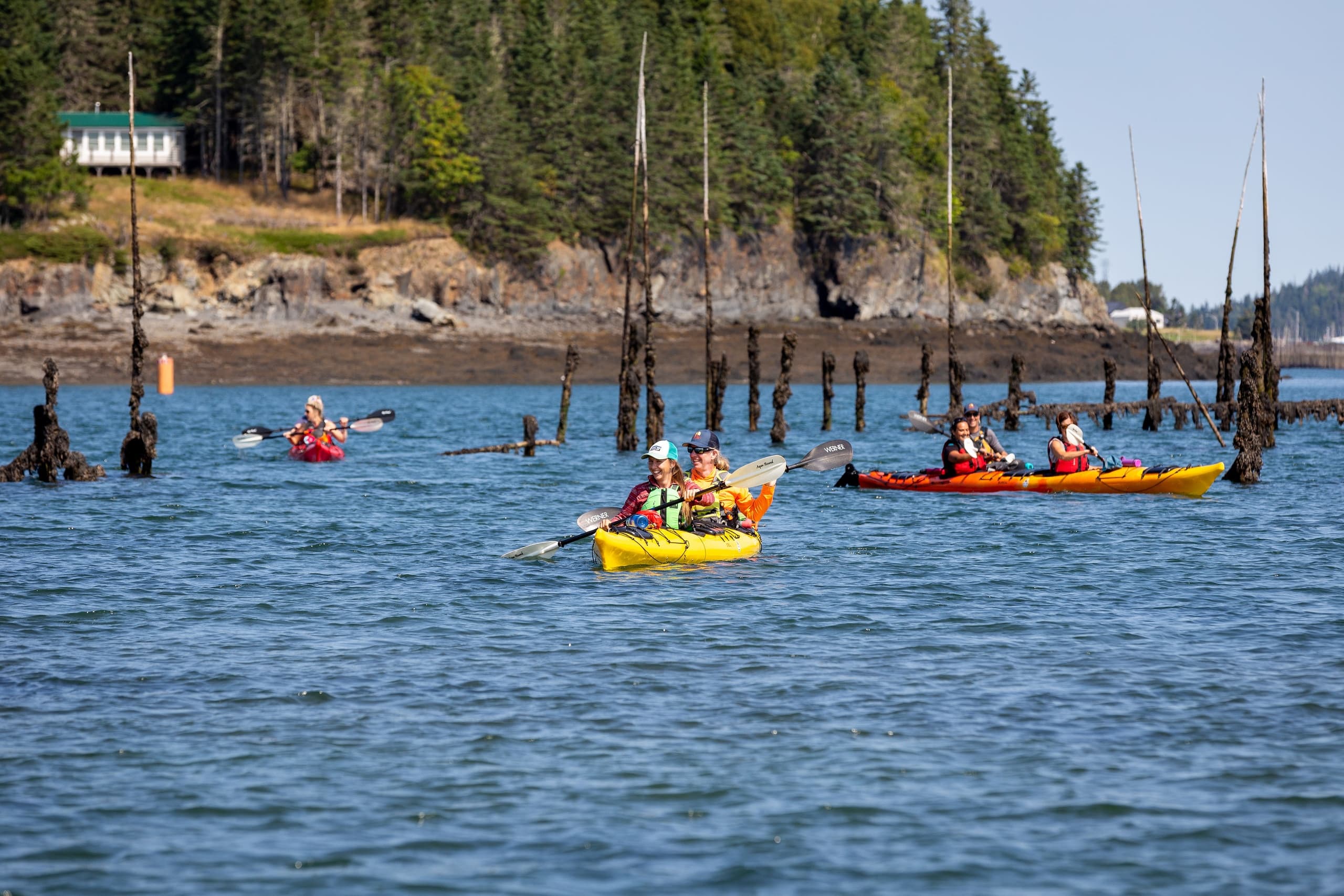 Fundy Isles Sea Kayaking Adventure from Saint Martins, New Brunswick photo 3