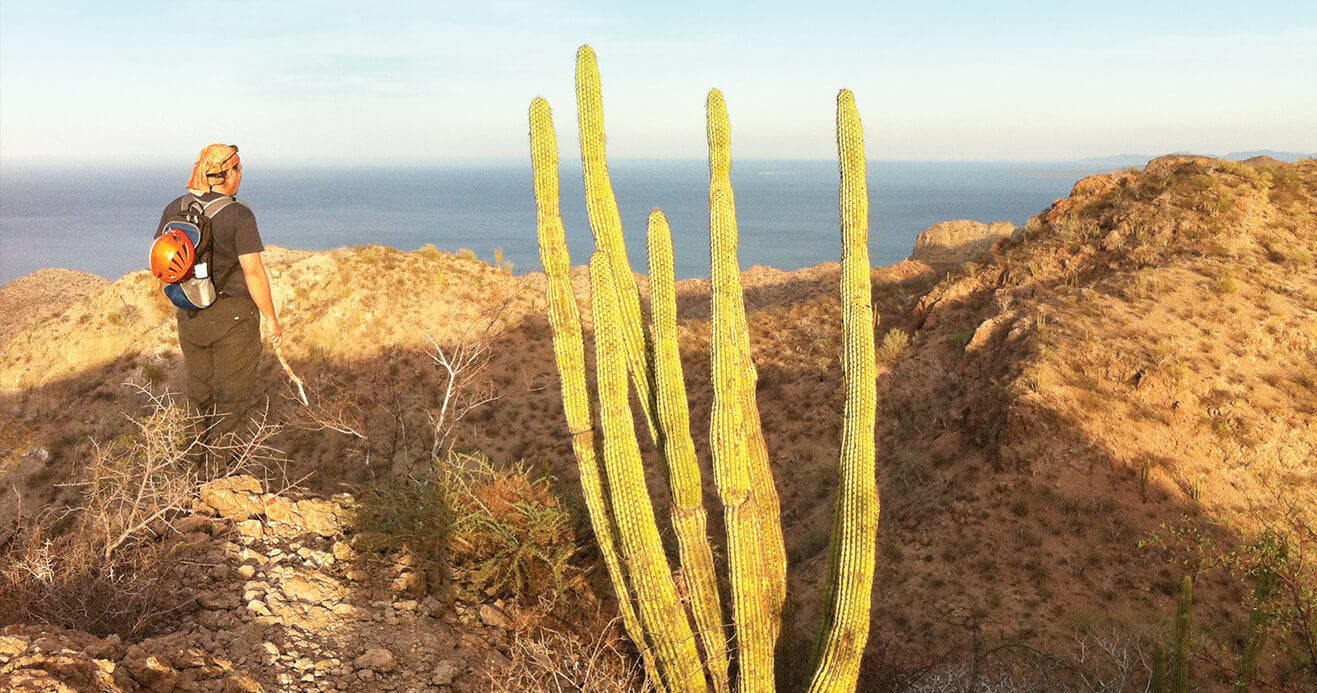 Explore Loreto's Sea of Cortez: Half-Day Private Cruise and Snorkel Adventure