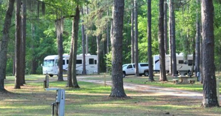 Full-Hookup RV Camping at Chehaw Park: Spacious Sites Under Tall Pines