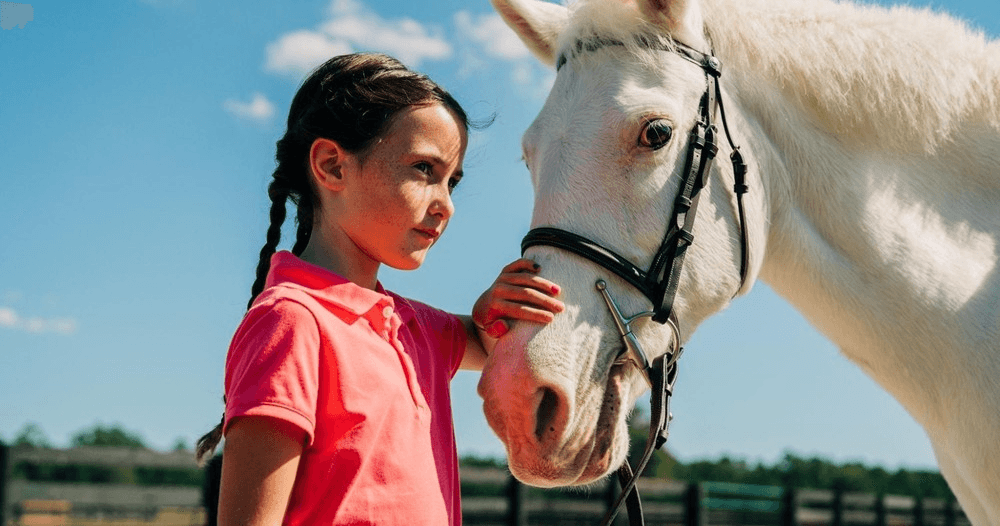 Child gently leading white horse beside paddock fence