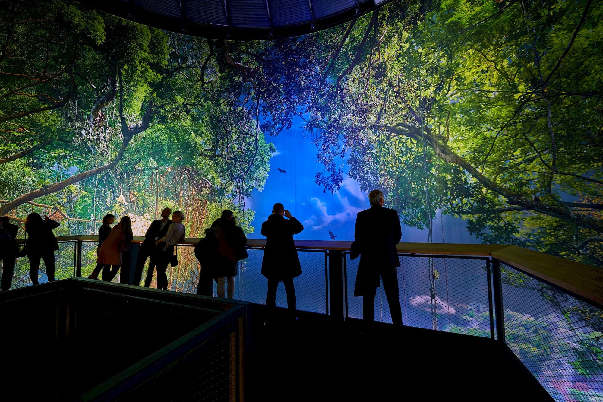 Visitors silhouetted against giant rainforest projection walkway