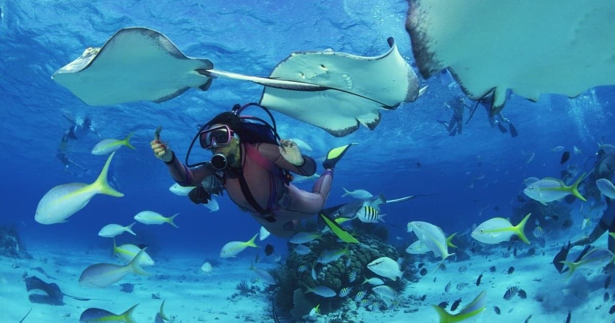 Scuba Women team