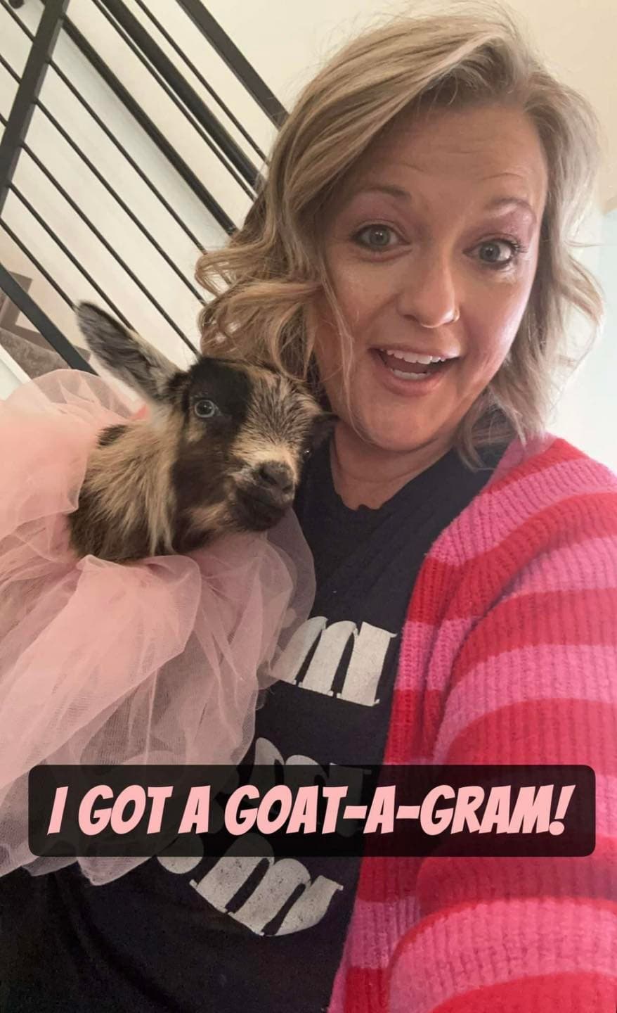 Valentines Day Grams: Mobile Baby-Goat & Kangaroo Visits in Edmond, OK photo 2