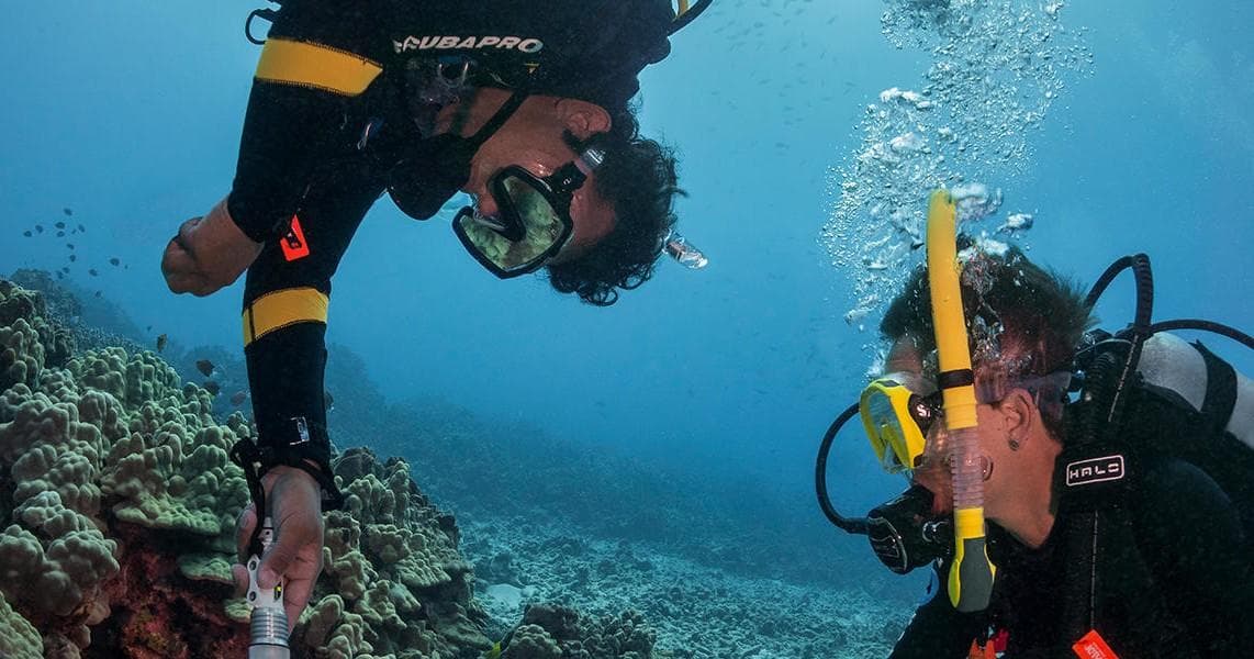 PADI Peak Performance Buoyancy